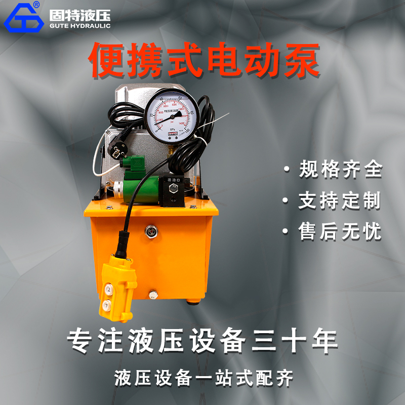 便携式电动泵